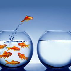 Быть лучшей версией себя