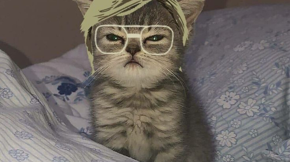 True crime и криминология