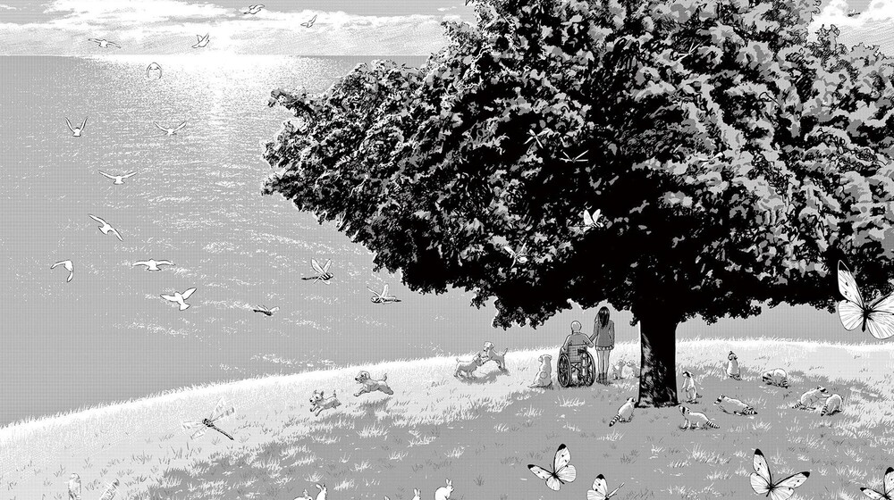 Литература ЕГЭ