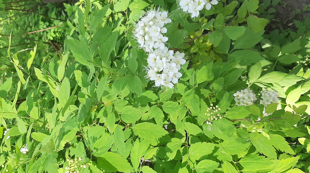 Русская классика 💔