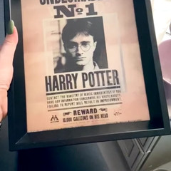 Гарри Поттер