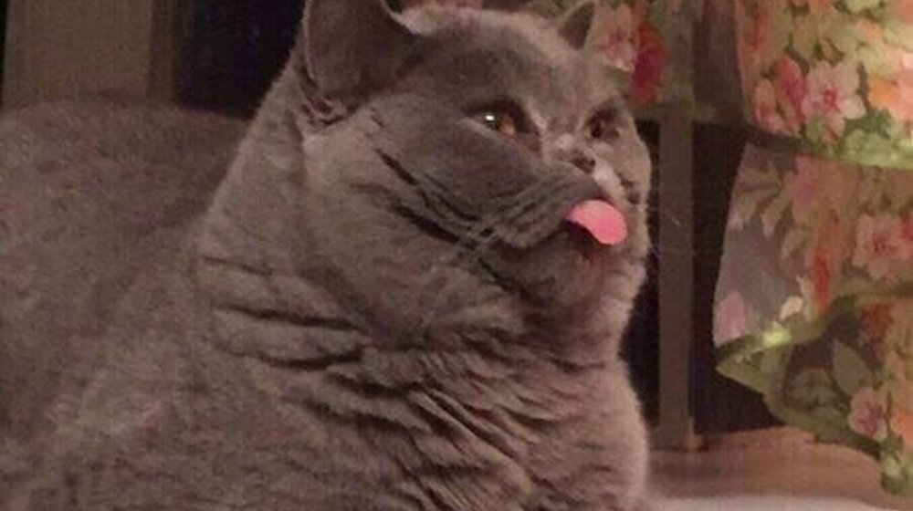 Навыки общения 🤙🏻