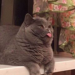 Навыки общения 🤙🏻