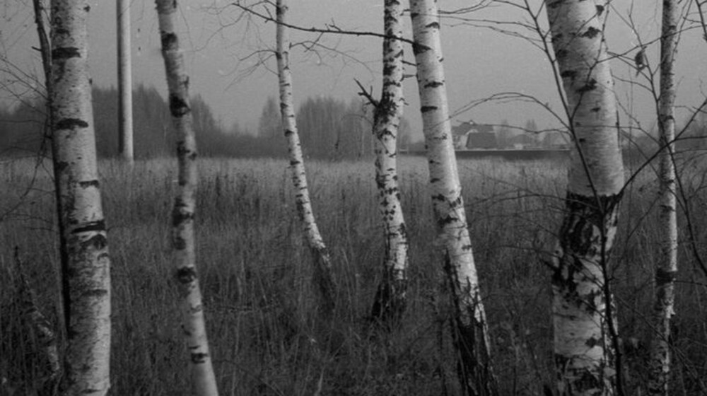 Любимое русское родное by pulvis