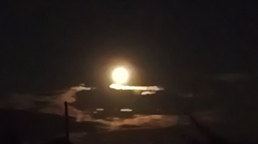 Современная философия, антропология, социология и прочий нон-фикшн