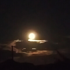 Современная философия, антропология, социология и прочий нон-фикшн