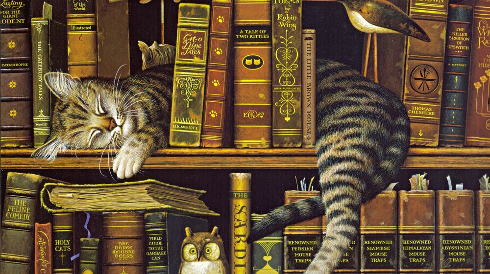 Что-то с котами