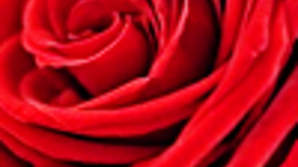 Красота и здоровье