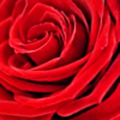 Красота и здоровье