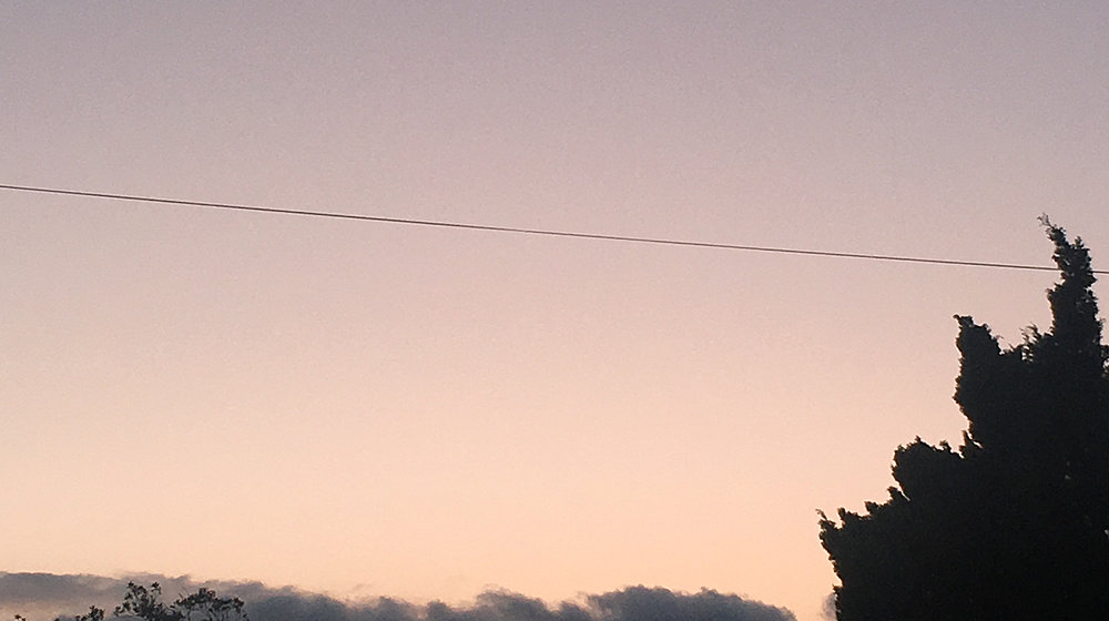 малые жанры. зарубежная литература