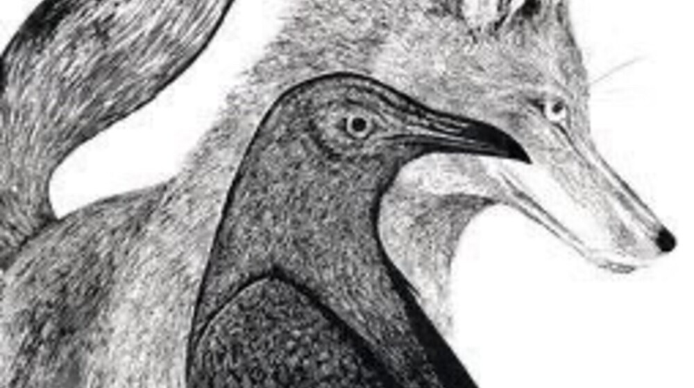 ДЕТЕКТИВЫ  БЕЗ  ХОРРОРА  