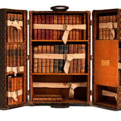 Понравившиеся