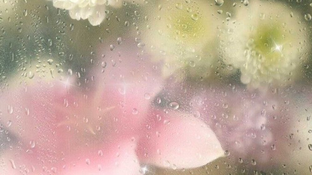 психология / про себя