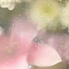 психология / про себя