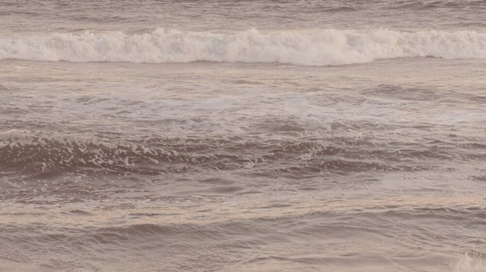 Прочитанное☺️