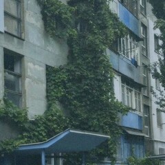 Музыка