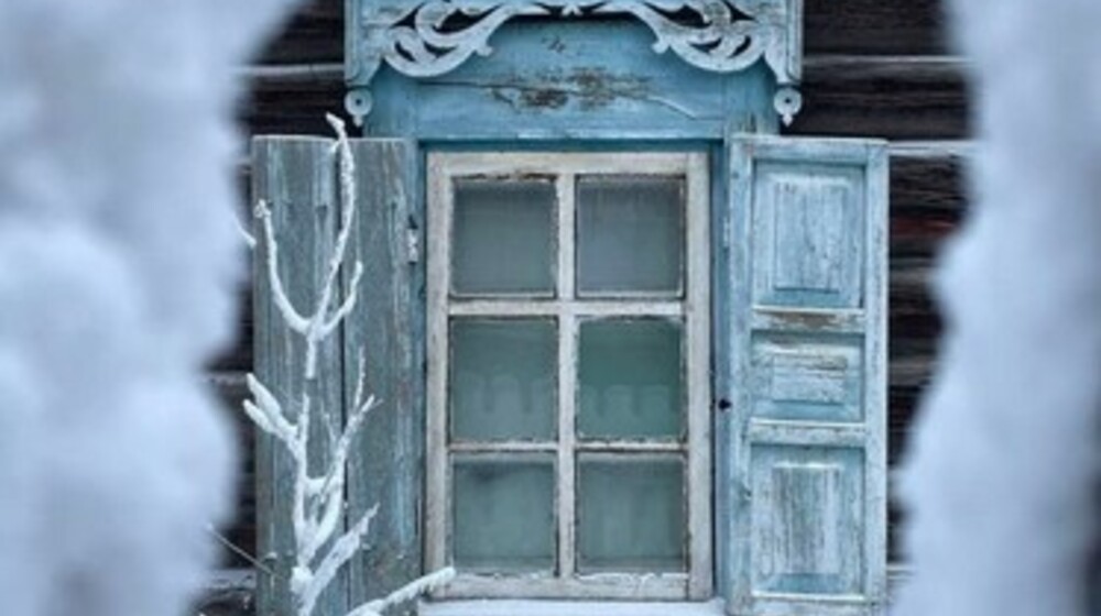 Зимняя полка