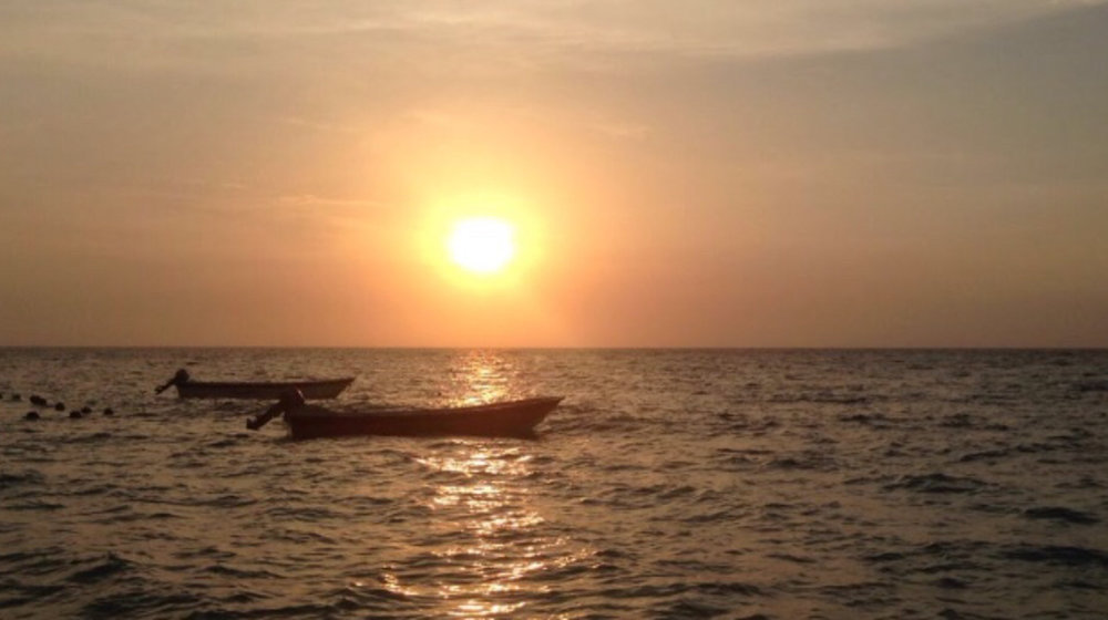 Золотая полка