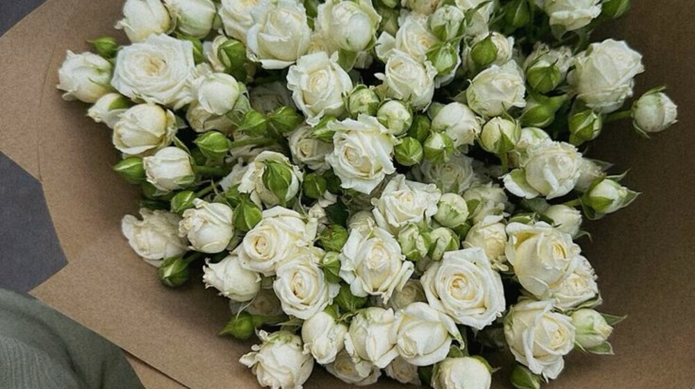 Для себя 🩵