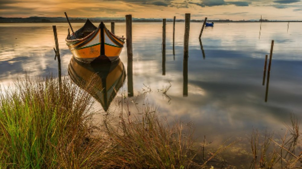 Путешествия