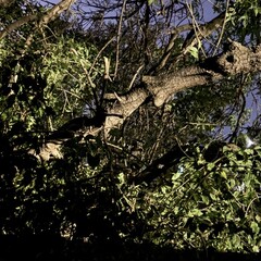 мне понравилось 