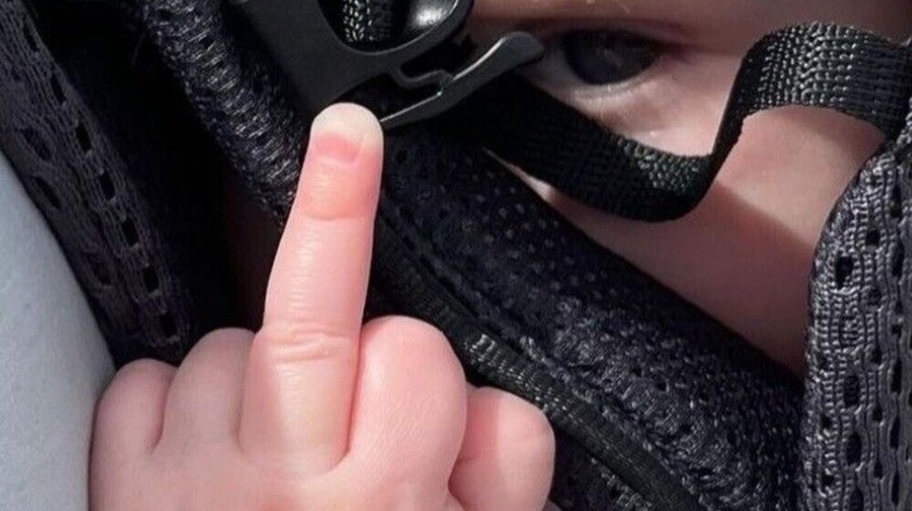 короли Авальера 