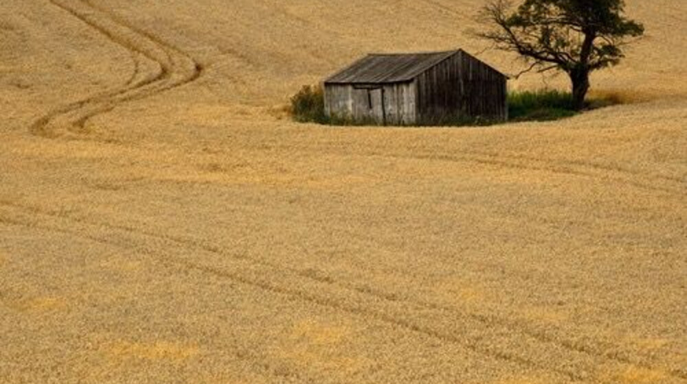 Джон Стейнбек