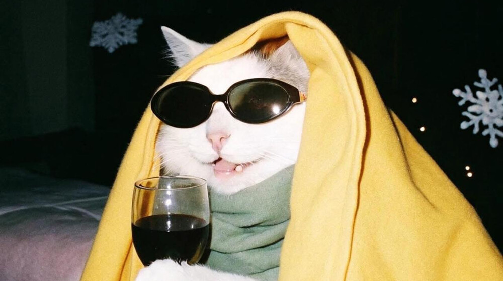 Развлечение и хобби