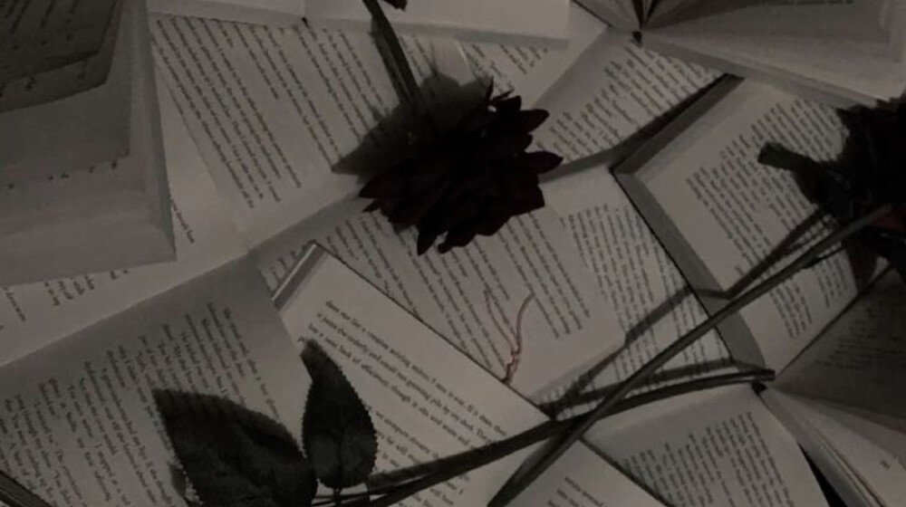 Дарк романы