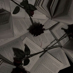 Дарк романы