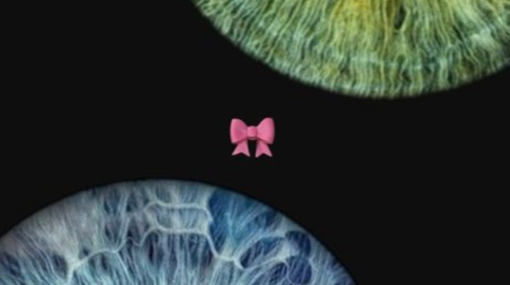 манхвы, которые я люблю!