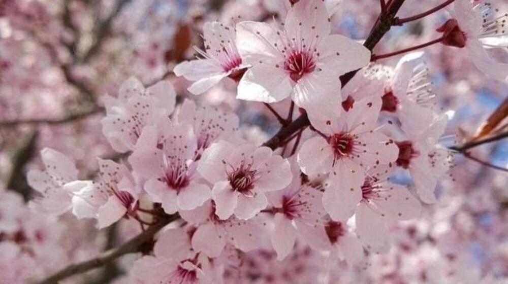 Сломленные