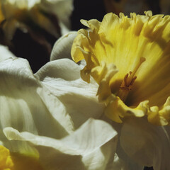 Что читать весной: выбор редакции Seasons of life