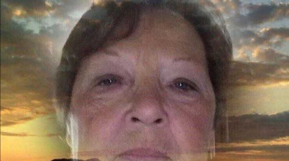 Хаски и его учитель белый кот. 