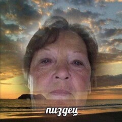 Хаски и его учитель белый кот. 