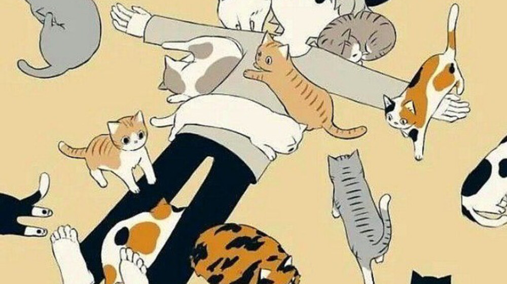 Комиксы для поднятия 🐈‍⬛настроения🐈‍⬛