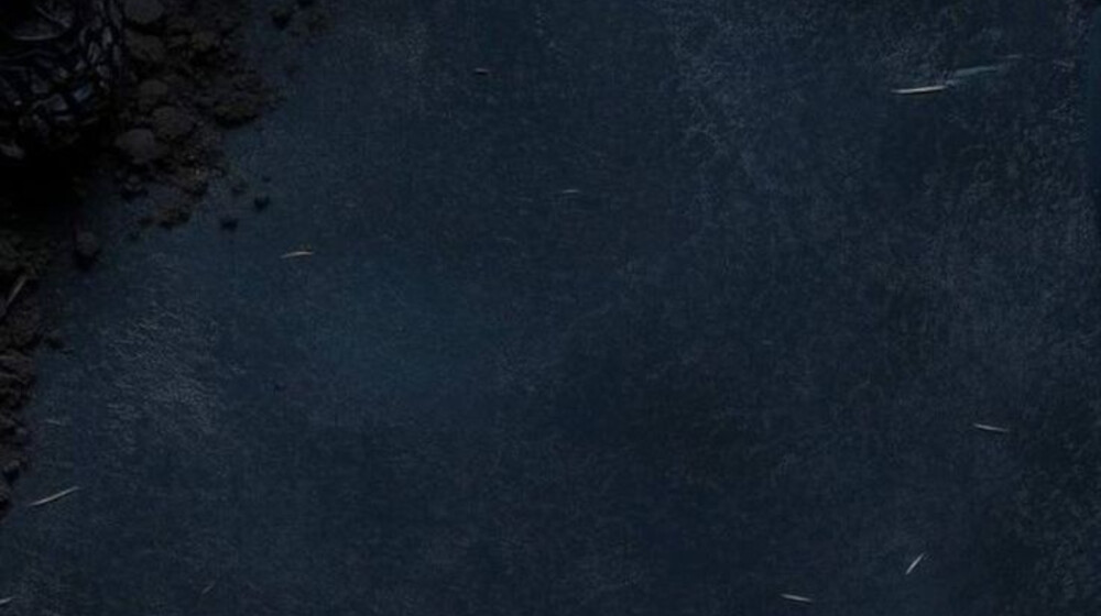 Мишель Херд