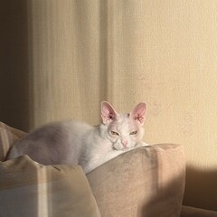 Прочитала
