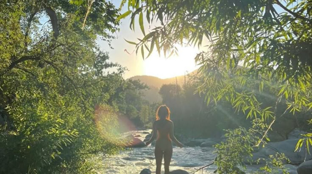 Куриный бульон