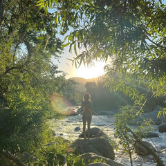 Куриный бульон