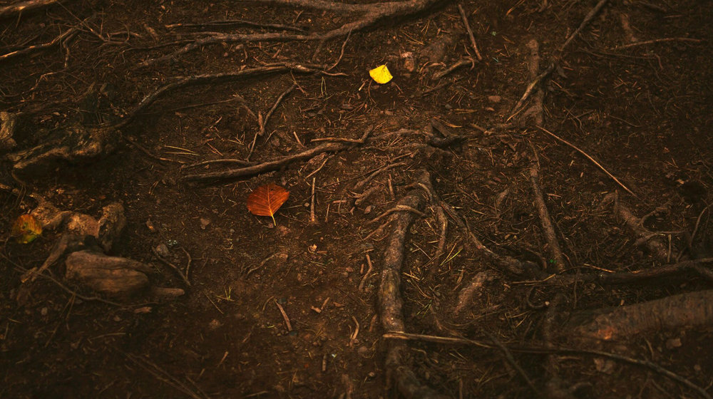 Драматургия