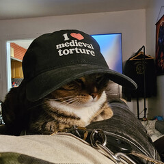 История (учебники)