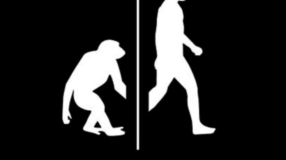 «Эволюция»