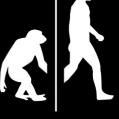 «Эволюция»