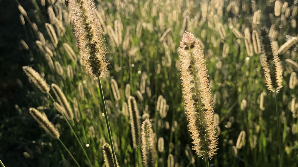 Саморазвитие и успех