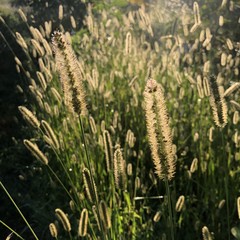 Саморазвитие и успех