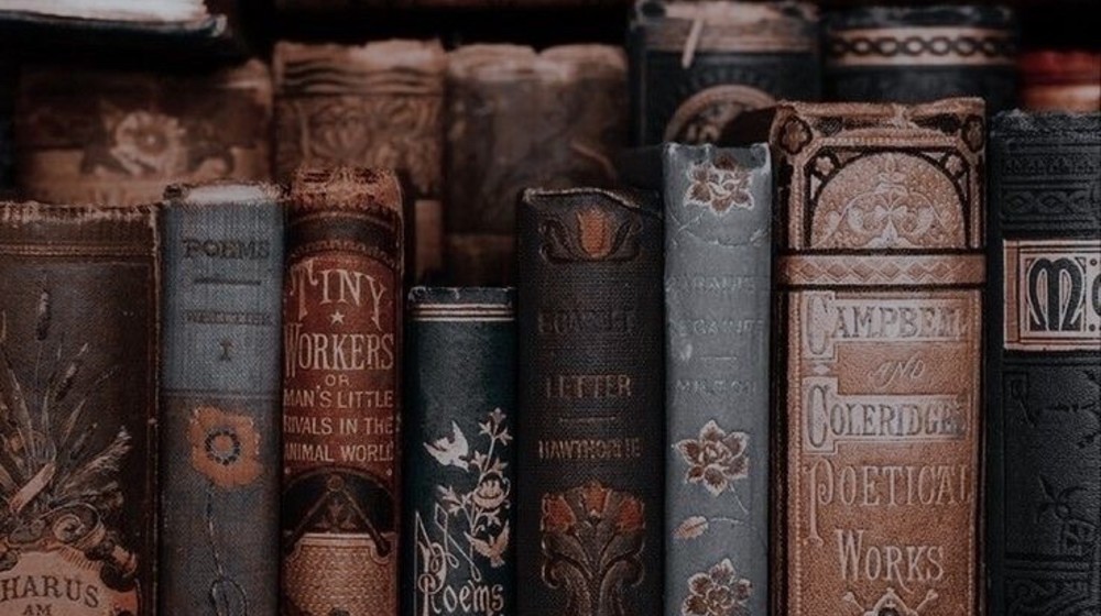 Любимая полка