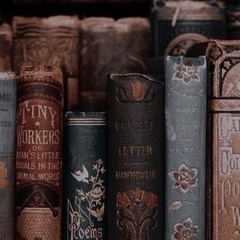 Любимая полка