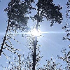 БЕЗЛИЧНЫЙ ТОП