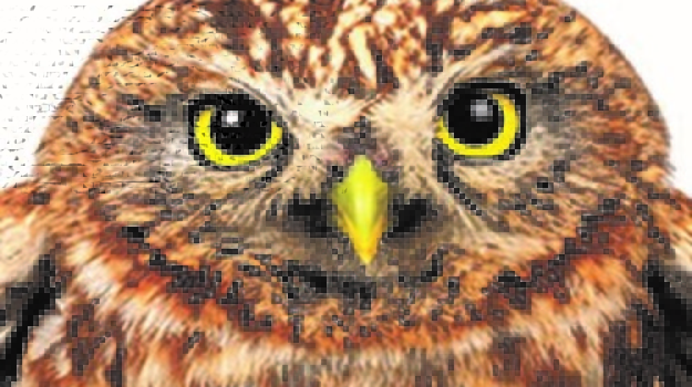 Книги для тренировки памяти и внимания